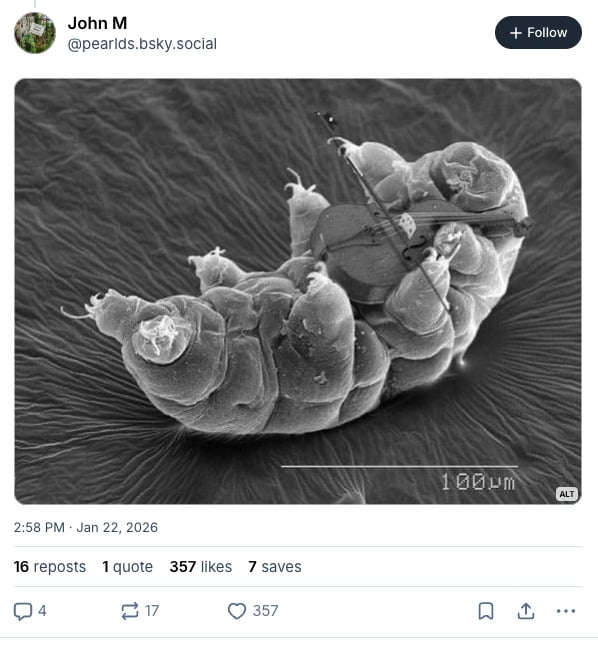 Screenshot of a Bluesky post dunking on a professor who used AI. It features a tardigrade playing a tiny violin.